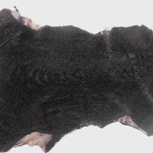 sheepskin shearling leather hide Dark Brown Thick Plush Curly w/Mocha Suede Back