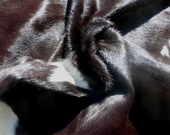 Calfskin Hair On leather hide Dark Brown w/White Sides Light Weight short hair