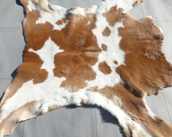 Calfskin Hair On leather hide Light Brown Spotted White thick full body long hair