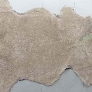 Schaffell Shearling Leder Beige Plüsch Lockiges Haar w / Grau Matte Körnige zurück
