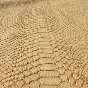 May include: Close-up of a textured, gold-colored material that resembles snakeskin.