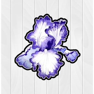 May include: A watercolor painting of a purple iris flower with white accents. The flower is isolated on a white wood background.