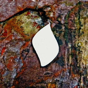 May include: A white, teardrop-shaped sticker on a textured, multi-colored background. The background is a mix of brown, red, orange, and green.