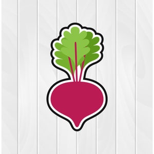 May include: A cartoon illustration of a beet with green leaves and a pink root.