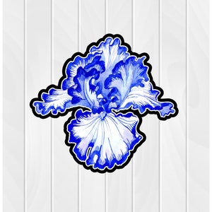 May include: A blue and white watercolor illustration of an iris flower with a black outline.
