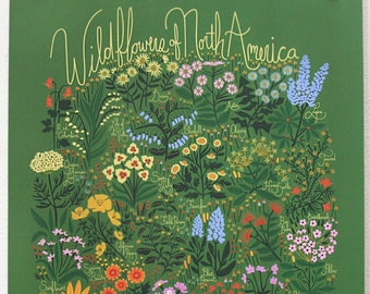 Wildflowers of North America Poster Green