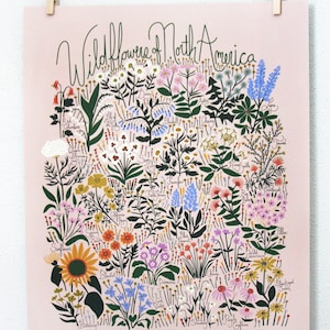 Wildflowers of North America Poster Blush