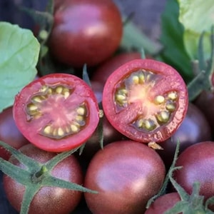 Heirloom Black Cherry Tomato Seeds