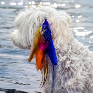 Feather Extensions Dog Etsy