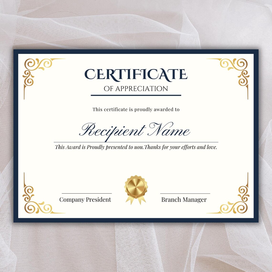 Editable Certificate of Appreciation Template, Customizable Award ...