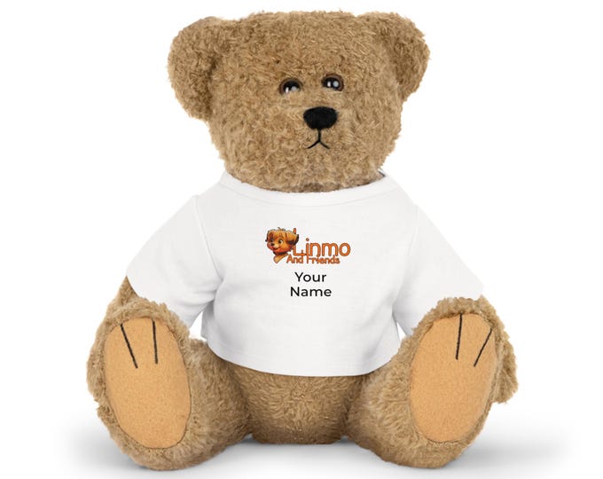 Custom Name Teddy Bear Plush Toy with Printed T-Shirt | Personalized Stuffed Animal