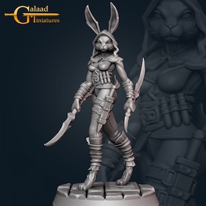 May include: A gray, 3D printed miniature of a female rabbit-like creature wearing a hooded cloak and holding two daggers. The figure is standing on a circular base with a textured surface.