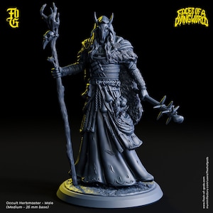 32mm Male Occult Shaman Druid Faces of a Dying World Mork Bork theme by Flesh of Gods Tabletop D&D Fantasy Resin Printed
