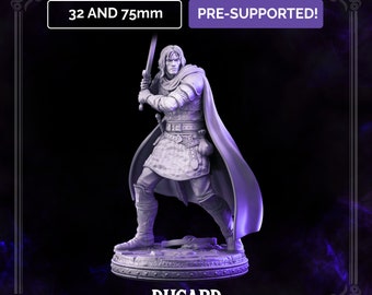 32/75mm Swordsman Ducard - Dark Wizards  by Primal Collectibles Tabletop D&D Fantasy Resin Printed