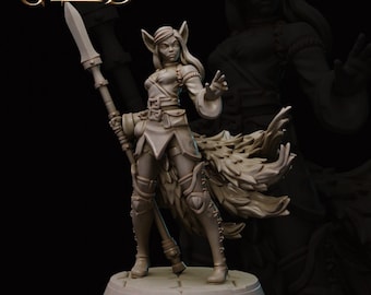 May include: A grey painted miniature figurine of a female elf warrior with pointed ears, long hair, and a spear. She is wearing armour and a cloak with a feathered tail. The figurine is standing on a round base.