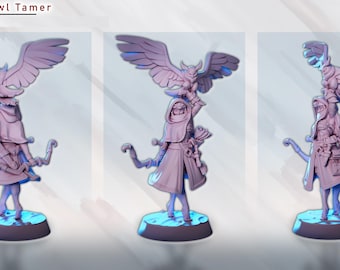 32mm Owl Tamer Miniature by Gaz Miniatures Tabletop D&D Fantasy Resin Printed