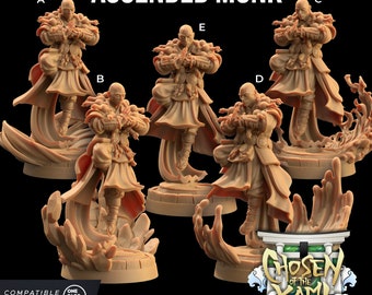 32mm Male Ascended Monks/Masters by Dragon Trapper Lodge Choose Your Figure Tabletop D&D Fantasy Resin Printed