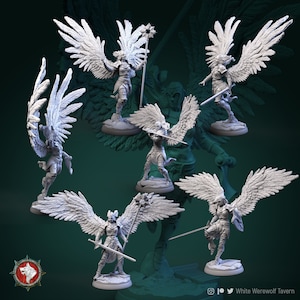 32mm Female Valkyries by White Werewolf Tavern Choose Your Figure Tabletop D&D Fantasy Resin Printed
