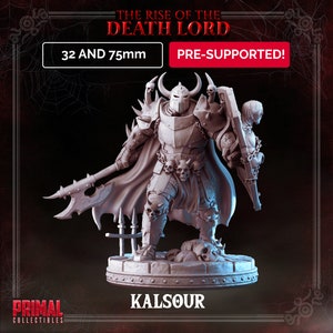 32/75mm Dark Knight Kalsour Rise of the Death Lord by Primal Collectibles Tabletop D&D Fantasy Resin Printed