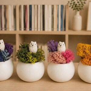 以下が含まれることがあります： 4つの白い球形の陶器製ポット。それぞれに小さな白いフクロウの置物が入っており、保存されたトナカイゴケの房の中に収められています。コケは紫と青、緑、ピンク、黄色と赤の鮮やかな色の組み合わせを見せています。