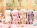 Personalized Easter Plush Bunny, Easter Bunny Rabbit Gift For Kid, Custom Easter Floral Bunny Toy, Flower Girl Gift,Newborn Baby Shower Gift