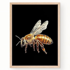 Bee Wall Art, Vintage Bee Print, Bee Home Decor, Honey Bee Print Poster, Animal Printable Poster, Bumblebee Art, Honey Bee Illustration