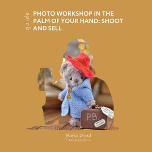 May include: A handmade teddy bear wearing a red hat and blue coat, holding a brown suitcase with the initials "P.B." The image includes the text "PHOTO WORKSHOP IN THE PALM OF YOUR HAND: SHOOT AND SELL."