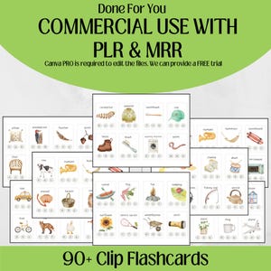 Puede incluir: Un conjunto de 90+ tarjetas did&aacute;cticas con ilustraciones en acuarela de varios objetos, como una oruga, botas, un girasol y un avi&oacute;n. Dise&ntilde;ado para uso comercial con PLR y MRR.