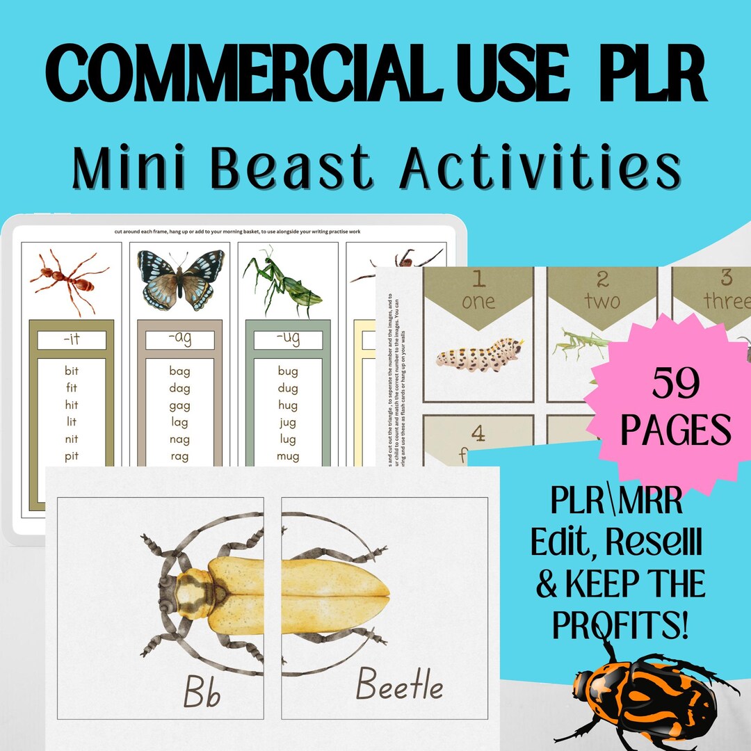 Insect Learning Activities and Flashcards for Homeschool or Classroom ...