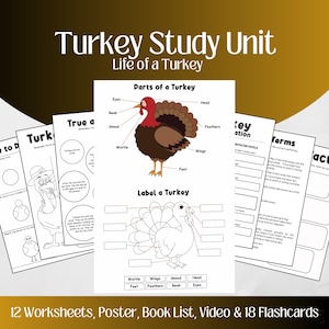 Op de afbeelding: Educatief materiaal voor een "Turkey Study Unit" met de tekst "Life of a Turkey". De afbeelding toont werkbladen, een poster en flashcards. Het bevat diagrammen van de anatomie van de kalkoen en labelactiviteiten.