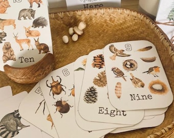 Tarjetas didácticas de la naturaleza 1-20: Imprimibles para la educación en casa y el aula (derechos de reventa PLR)