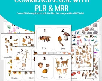 Tarjetas didácticas de números de la naturaleza del 1 al 20: Educación en casa y en el aula (derechos de reventa PLR/MRR)