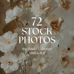 Flower Stock Images Boho Life Style Stock Photos Aesthetic Faceless Social Media Marketing MRR PLR Stock Photos AI Photos Canva Template