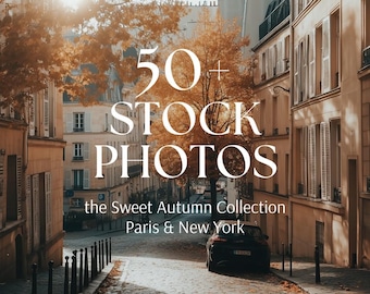 Photos de stock d'automne | Images art de vivre de Paris et de New York (téléchargement numérique)