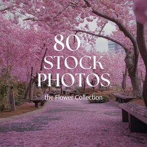Flower Stock Photos Aesthetic Lifestyle Stock Images Faceless Marketing DFY Floral Stock Photo Bundle Canva Template Flower Stock Images
