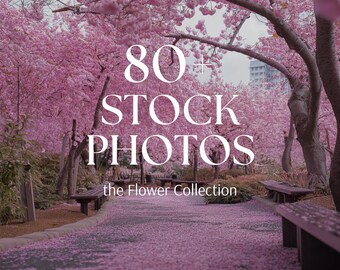 Flower Stock Photos Aesthetic Lifestyle Stock Images Faceless Marketing DFY Floral Stock Photo Bundle Canva Template Flower Stock Images