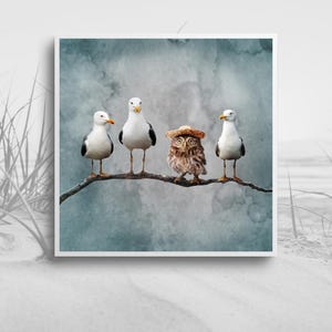 May include: A square wall art print featuring three white and grey seagulls standing on a thin branch alongside a small brown owl wearing a miniature straw hat. The background is a soft, muted blue-grey watercolour wash with a cloudy texture.
