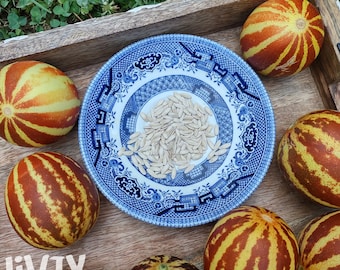 25+seeds Rich Sweet Melon Seeds Pocket Melon Striped Heavy