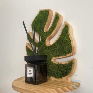 Monstera Deliciosa Leaf Shelf, Pine Wood Wall Shelf with Moss Accents for Plants, Perfume, or Decorative Display