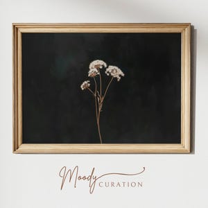 Moody floral printable wall art, Queen Anne&#39;s Lace, Antique Oil Painting, Moody Wall Art, Vintage Floral Wall Art, Dark botanical prints