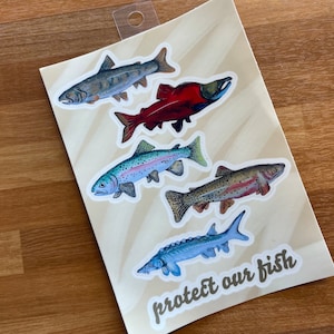 Fish Sticker Sheet (6 stickers)