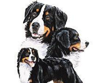 Bernese Mountain Dog Fabric Etsy