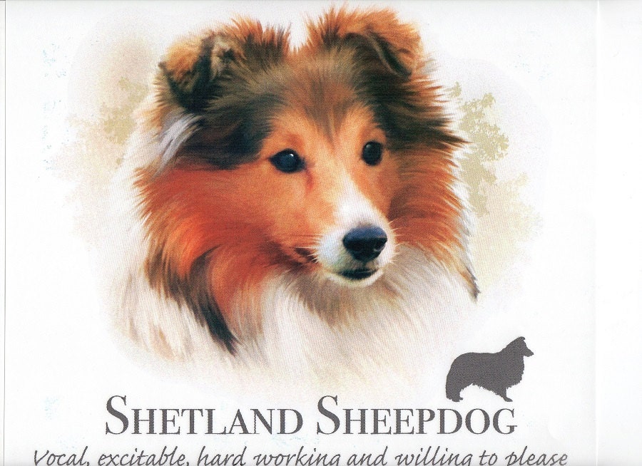 SHETLAND SHEEPDOG Sheltie with Phrase on One white 18 x 22 Etsy