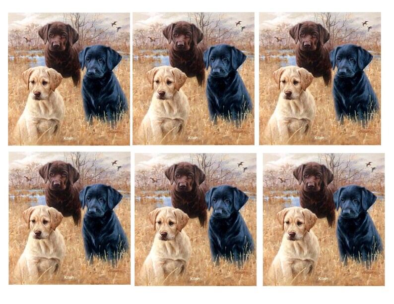 LABRADOR RETRIEVER QUILT Set 3 color.Ready to Etsy