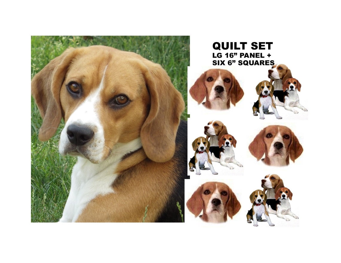 BEAGLE Dog QUILT Set.one Large 16 Fabric Panel Plus Six Etsy