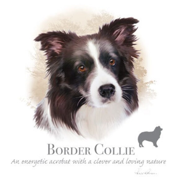 Border Collie Dog With Phrase On One 18 X 22 Fabric Panel To Sew Actual Picture Is 10 X 105 On White Background