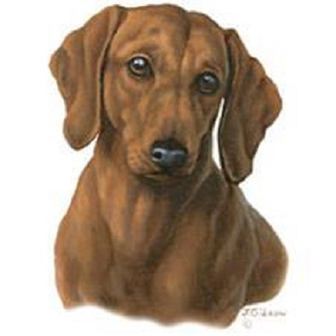 DACHSHUND QUILT SET red Smooth on One 16 Fabric Panel Etsy