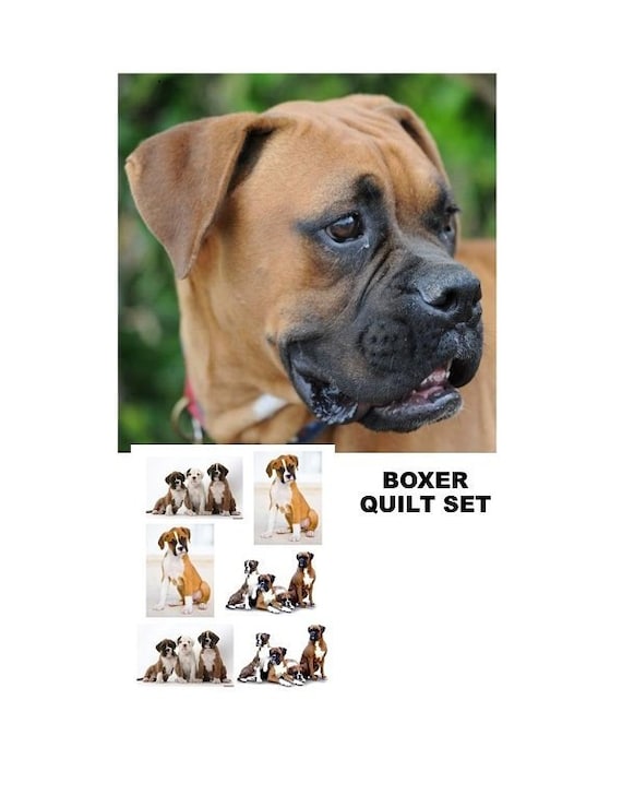 Uncropped BOXER Dogs Family on One 16 inch Panel toSew.Actual Pic is 8/" x 11/"