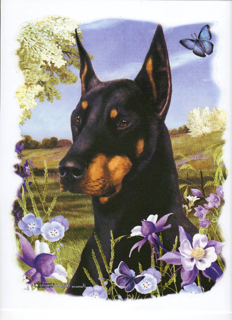DOBERMAN cropped Dog with Flowers on ONE 18 x 22 Etsy