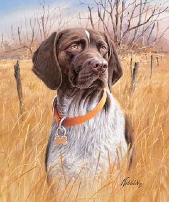 German Shorthair Pointer Hunting Dog On One 16 Inch Fabric Etsy